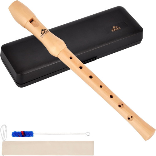 Recorder instrument for - recorder, adults